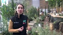 Le jardin d’Hélène Pépin, finaliste du Concours Carré des Jardiniers 2021
