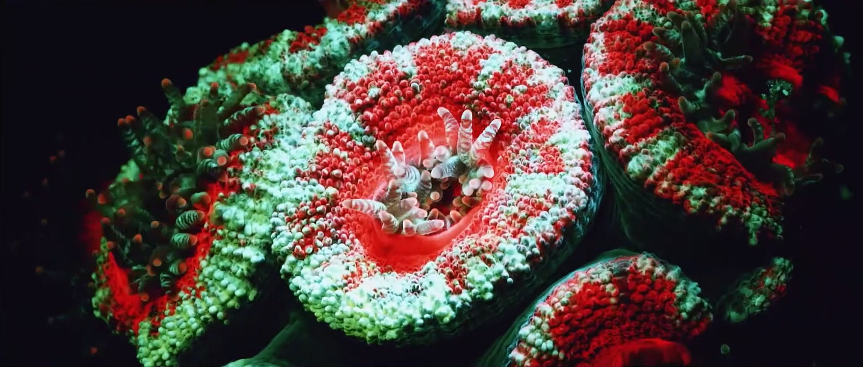 EVERYTHING WILL CHANGE Film Trailer