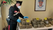 Andria: ben 177 kg di droga nascosta in cantina. Arrestato andriese dai Carabinieri