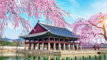 Tips Liburan Hemat ke Korea Selatan