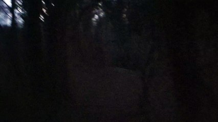 Walking route 2 (footpath 609): Part C