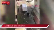 Güngören'de pitbull dehşeti! Bacağından ısırıp bırakmadı