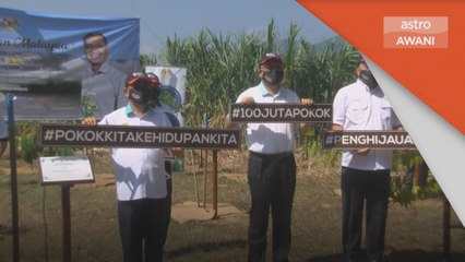 Hutan Simpan | 3,000 hektar hutan simpan Perak diceroboh