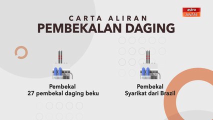 [INFOGRAFIK] Carta aliran pembekalan daging