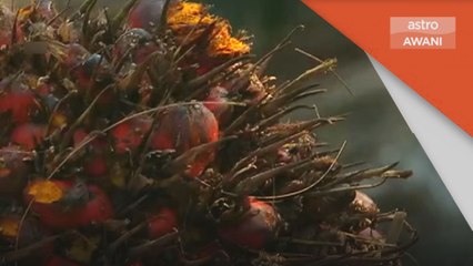 Unjuran Pasaran | MSM dijangka berdepan dagangan turun naik