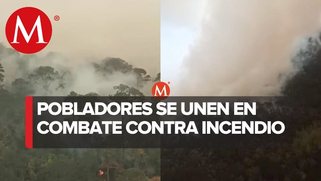 Voluntarios se suman a combatir incendio en El Cielo