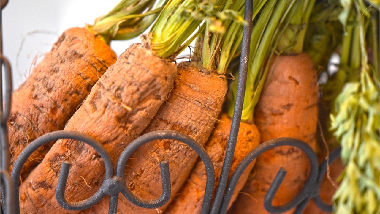 So bekommst du alte Lebensmittel wieder frisch