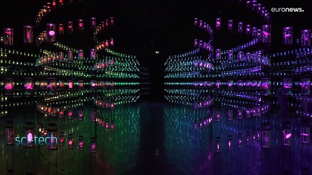 В Дубае открылся Музей Будущего