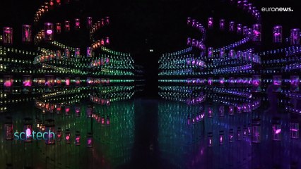 Museu do Futuro do Dubai explora mundo até 2071