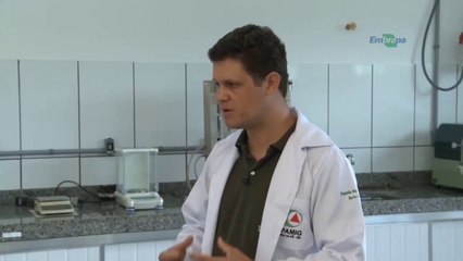 Serra da Mantiqueira se destaca por produção de azeite de qualidade - Rio Grande Rural