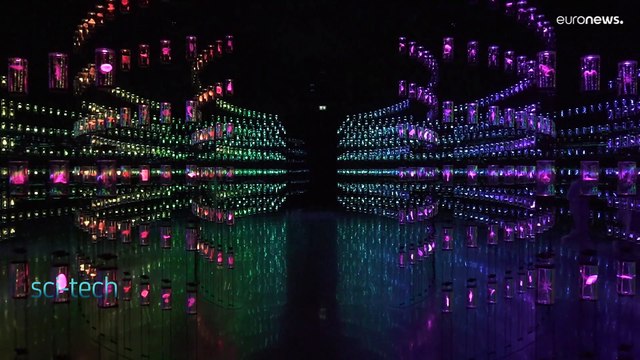 El Museo del Futuro de Dubái, una maravilla arquitectónica que buscará soluciones para la humanidad
