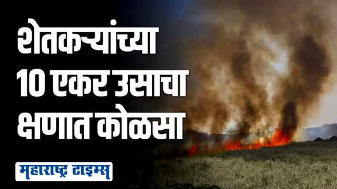 शेतकऱ्यांच्या शेतातील ऊस शॉर्टसर्किटमुळे जळून खाक; लाखोंचे नुकसान