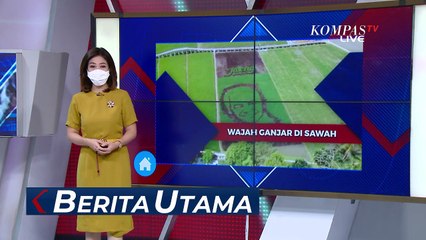 Hama Sempat Jadi Hambatan untuk Membuat Wajah Ganjar Pranowo Jadi Seni Pari Coret di Sawah