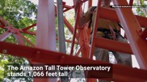This Eiffel Tower-Sized Tower Stands in the Middle of the Amazon Rainforest