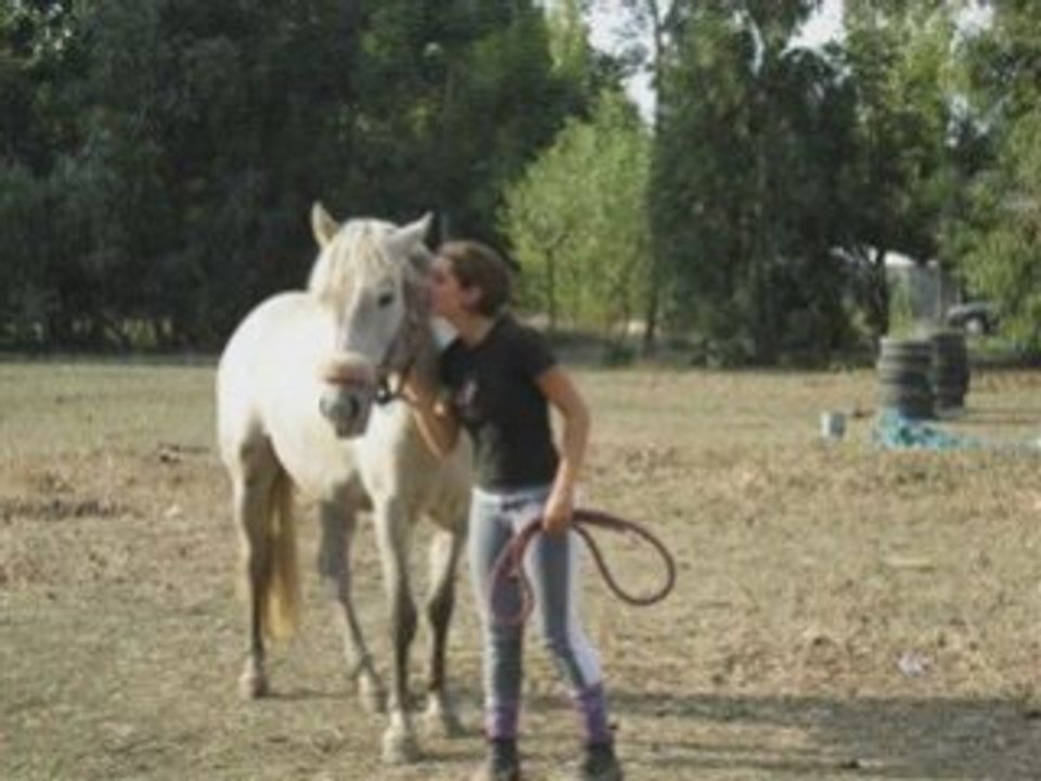 rosace