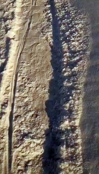 Un chien intelligent créer un chemin dans la neige