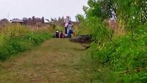 Public Buzz : un alligator géant de 360 kilos fait le tour du web