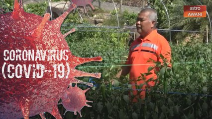 Manfaat masa ketika PKP, bekas MB belajar berkebun menerusi Youtube