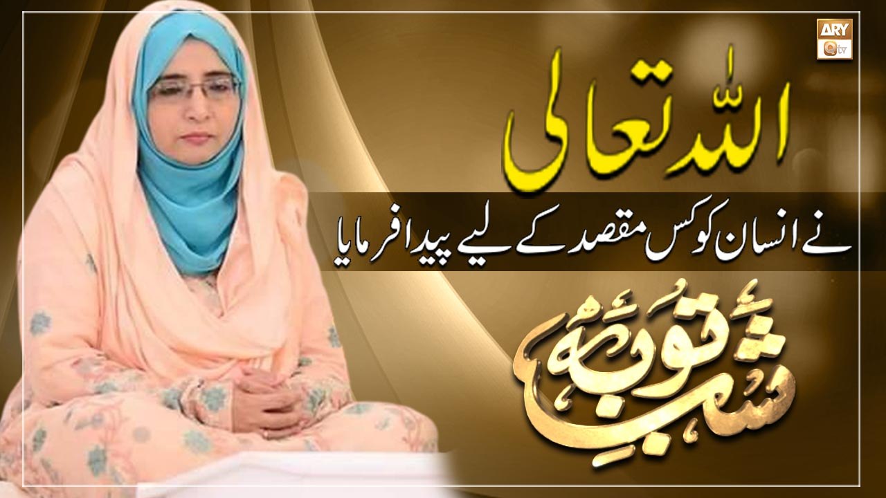 Yangi rus er va xotin porno