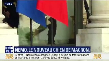 Les Macron : Le couple présidentiel a adopté !