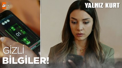 Sare, Doğan'ın telefonundan gizli bilgileri alabilecek mi?  - Yalnız Kurt 8. Bölüm