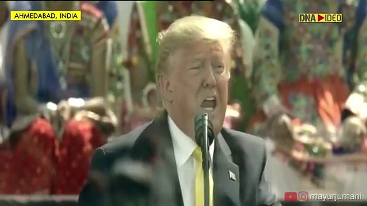 Donald Trump mashup