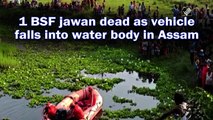 1 BSF jawan dead as vehicle falls into water body in Assam