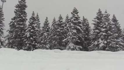 KASTAMONU - Ilgaz Dağı'nda kar ve sis etkili oluyor