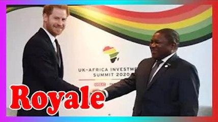 Le prince Harry dénonce la violence ''approfondie ou exacerbée'' contre l3s femmes en Afrique