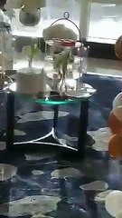 Abu Dhabi : la courte vidéo d'Alpha Condé...