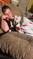 Princess and Yolanda sleeping in comfy chair