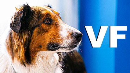 UNE AMIE AU POIL Bande Annonce VF (2022) Nouvelle