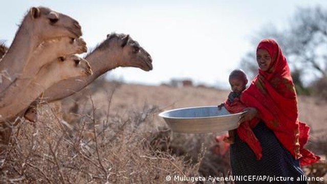4 million Somalis in danger of starvation
