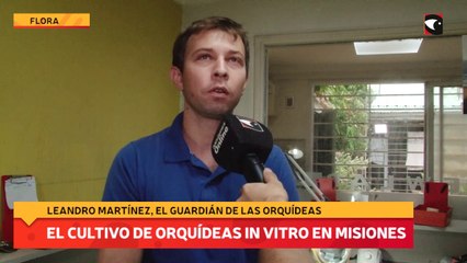El cultivo de Orquídeas In Vitro en Misiones