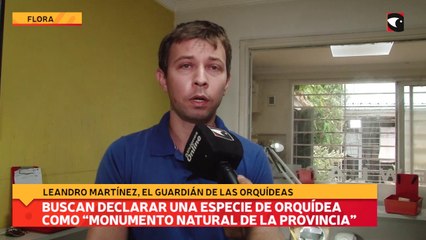 Buscan declarar una especie de orquídea como "Monumento Natural de la Provincia"