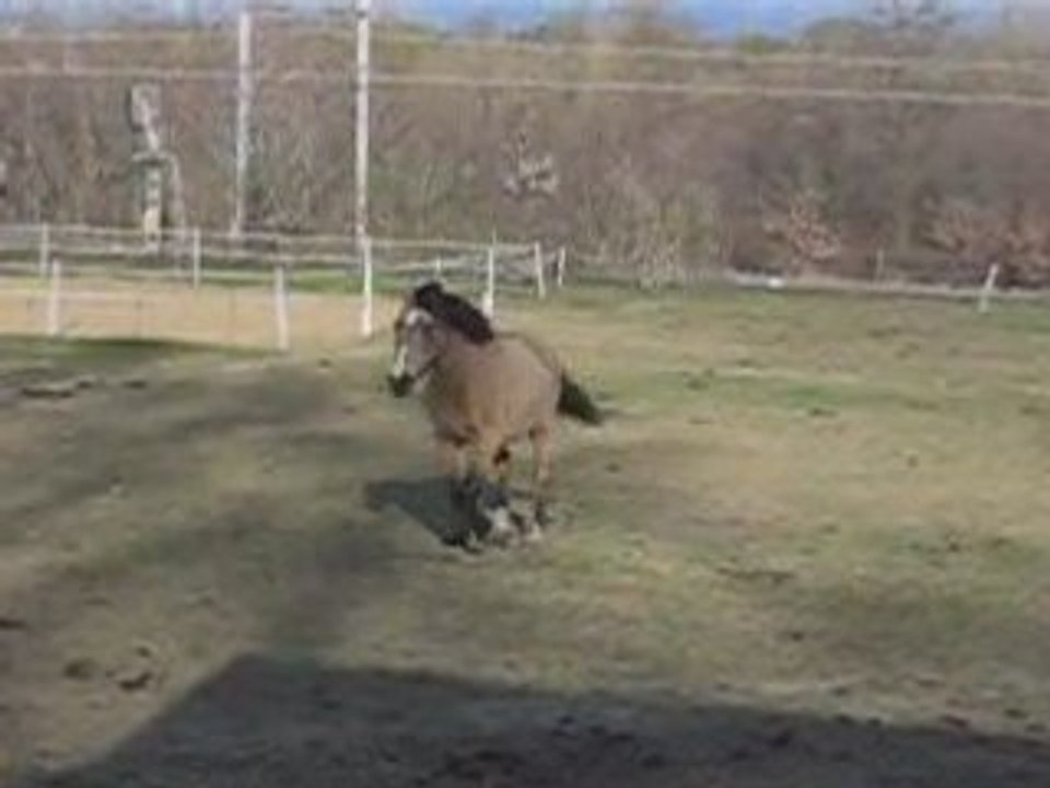 Diva galope xD