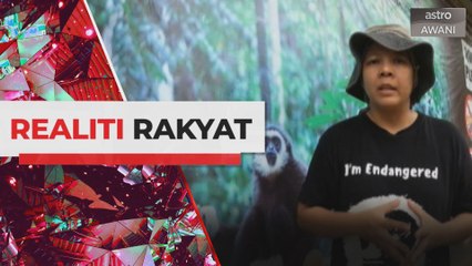 Realiti Rakyat: Pusat Pemuliharaan Ungka perlu dana teruskan operasi