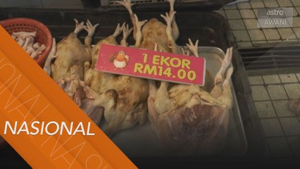 Harga ayam di Kedah dijangka meningkat menjelang Aidilfitri