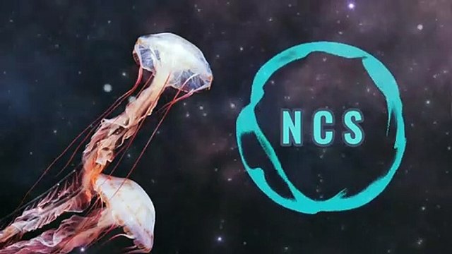 Melhores NCS _ Besomorph _ Arcando _ Neoni - Army _ Slowed Version