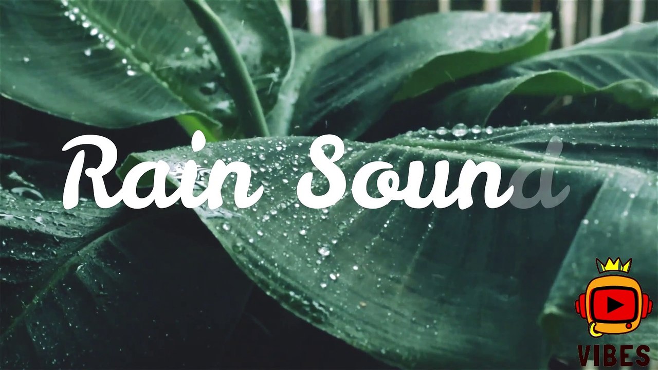 Rain Sounds