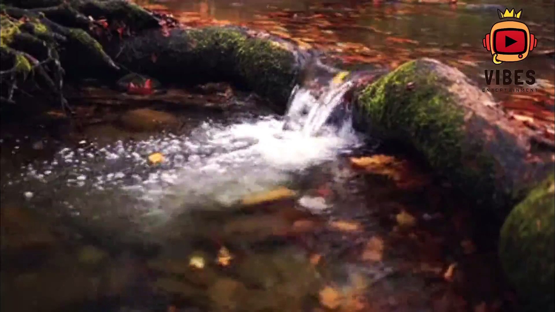 ⁣relaxing forest nature sounds-soothing birds singing-natural sound of water relaxation