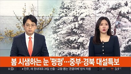 봄 시샘하는 눈 '펑펑'…중부·경북 대설특보