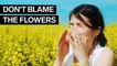 Doctors debunk 8 seasonal allergy myths