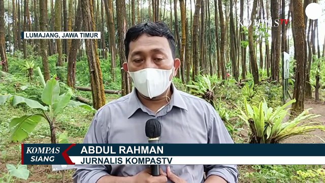 Berstatus Siaga! Gunung Semeru Erupsi Lagi, Muntahkan Awan Panas Guguran Sejauh 3,5 Km