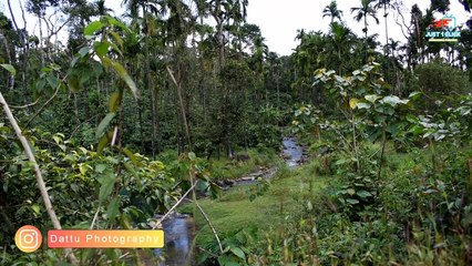 devarame | Chikkamagaluru #devaramane #chikkamagaluru