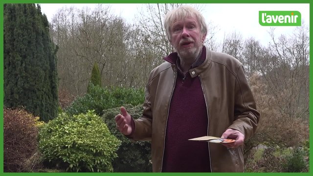 Les travaux du jardin : Graines traitées, conventionnelles ou bios ?