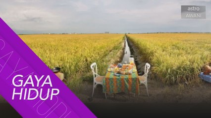 Kedai makan tepi sawah bertaraf dunia, tarikan terbaharu di Sekinchan