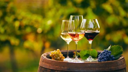 De 15 à 80 euros, 20 bouteilles de vin peu connues dans lesquelles investir