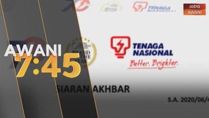 Elaun Pengerusi TNB jauh lebih rendah daripada yang ditularkan