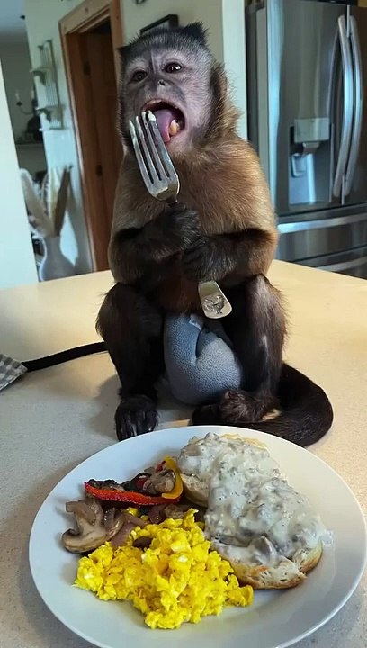 Happy_Monday!!!!_Breakfast_and_hot_sauce!